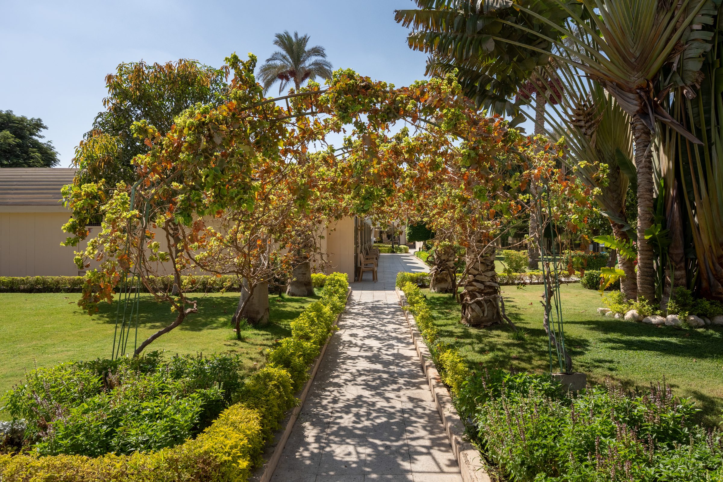 Gartenanlage des JAZ Pyramids Resort