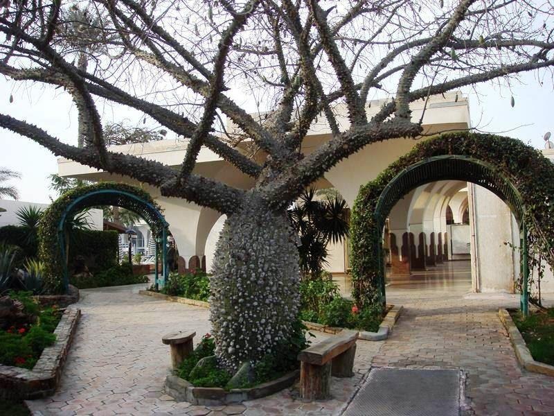 Pyramids Park Resort Cairo – Hotelansicht