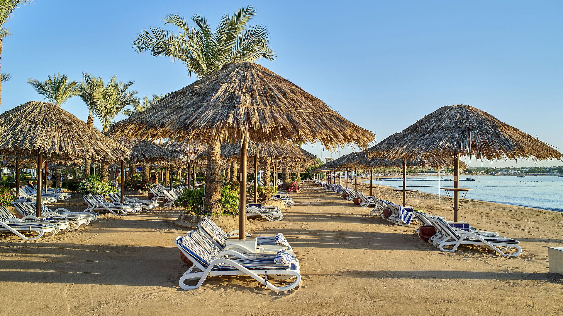 Sonnenliegen und Schirme am Privatstrand